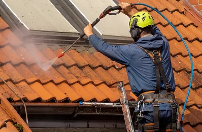 Démoussage et hydrofuge de toiture à Longechenal
